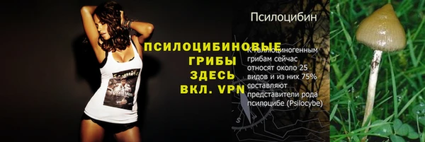 марки nbome Тайга
