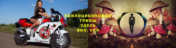 mdpv Сясьстрой
