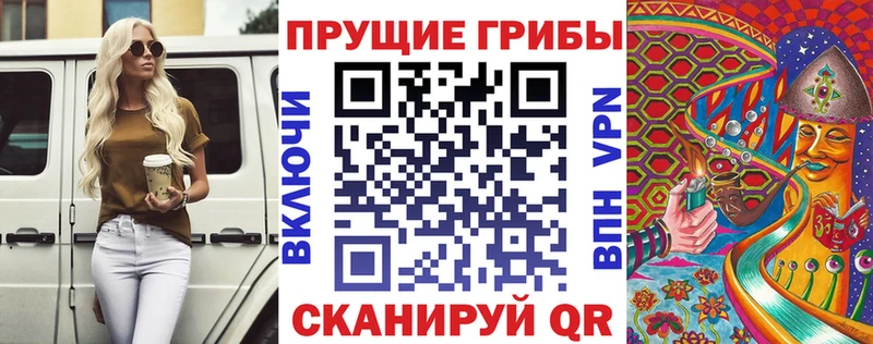 Галлюциногенные грибы прущие грибы  купить закладку  Кирово-Чепецк 